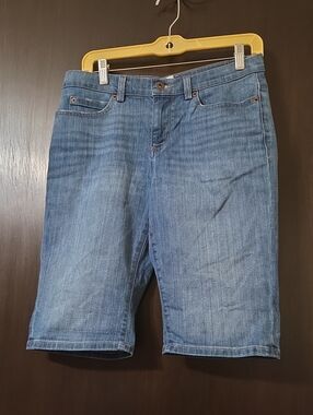 Duluth Blue  Denim shorts size 8